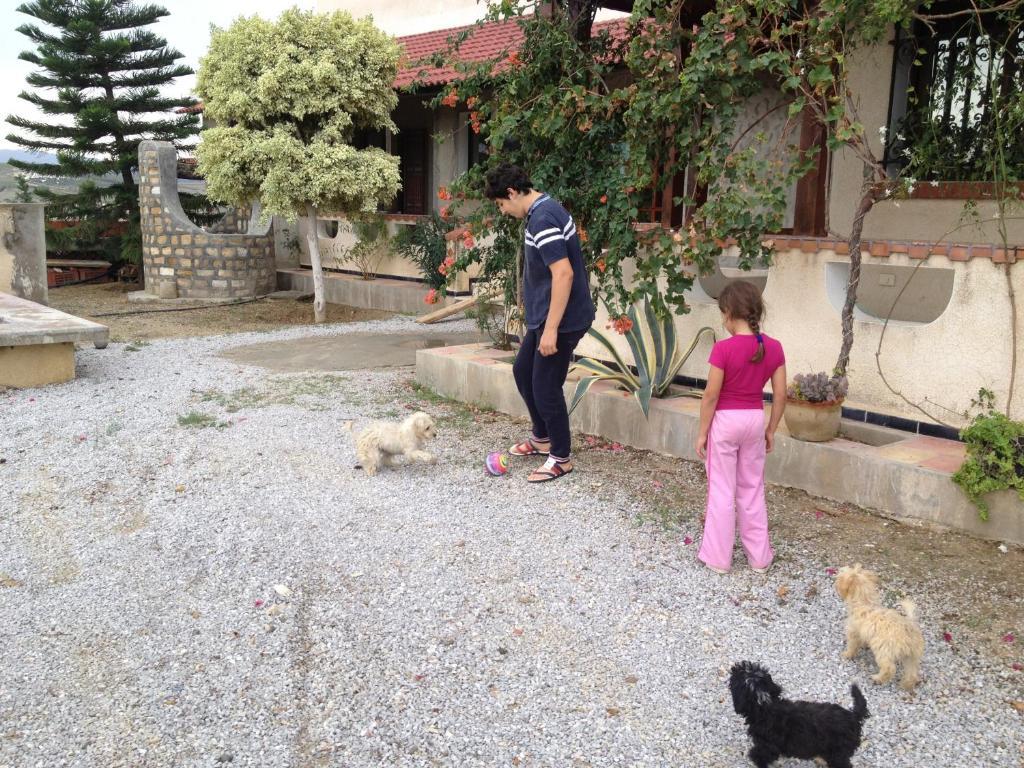 Bed and Breakfast Dar Salima Mornag Esterno foto